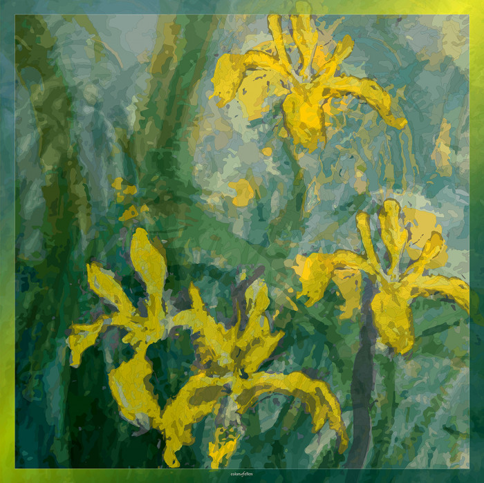  | Inspired by Monet | 800-506 | 65x65 cm