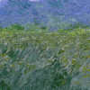 Monet