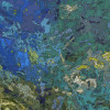 Monet