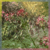 Monet