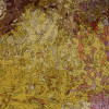 Monet