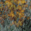 Monet