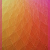 Colori