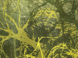 Grand Foulard and Cushions Inspired by Tree Roots
