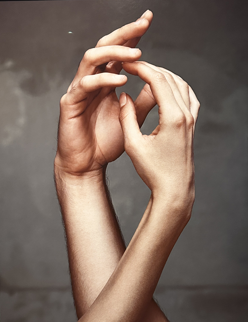 A Journey Through Art, Colour and Form